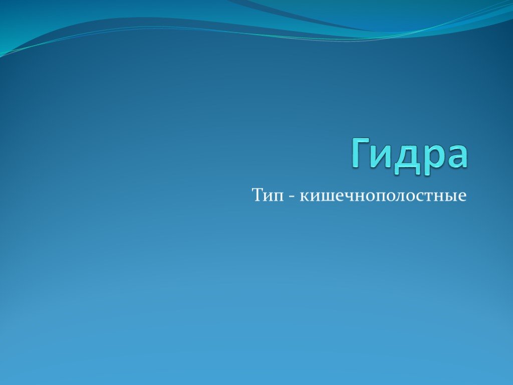 Кракен сайт даркнет зеркало