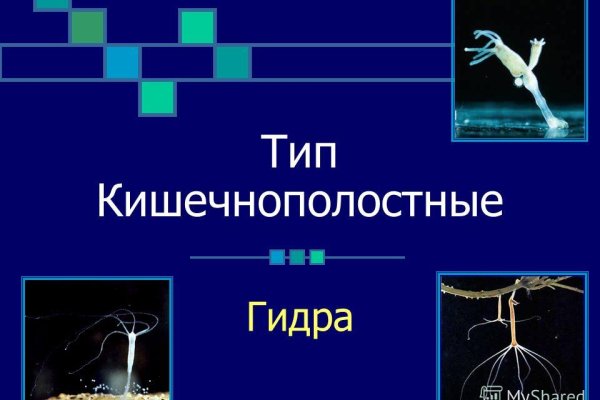 Kraken 15 at сайт