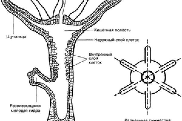 Сайт кракен зайти