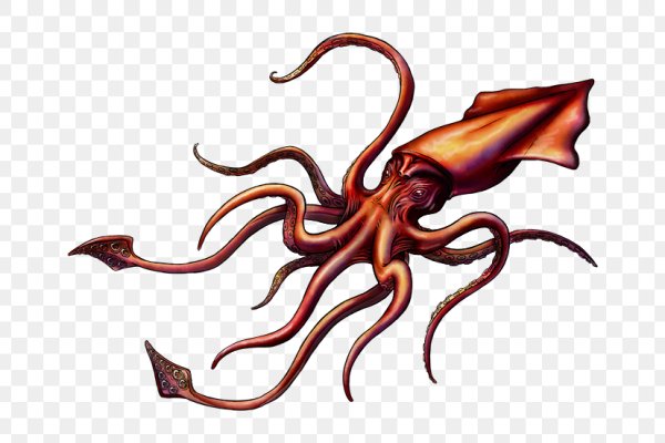 Kraken market